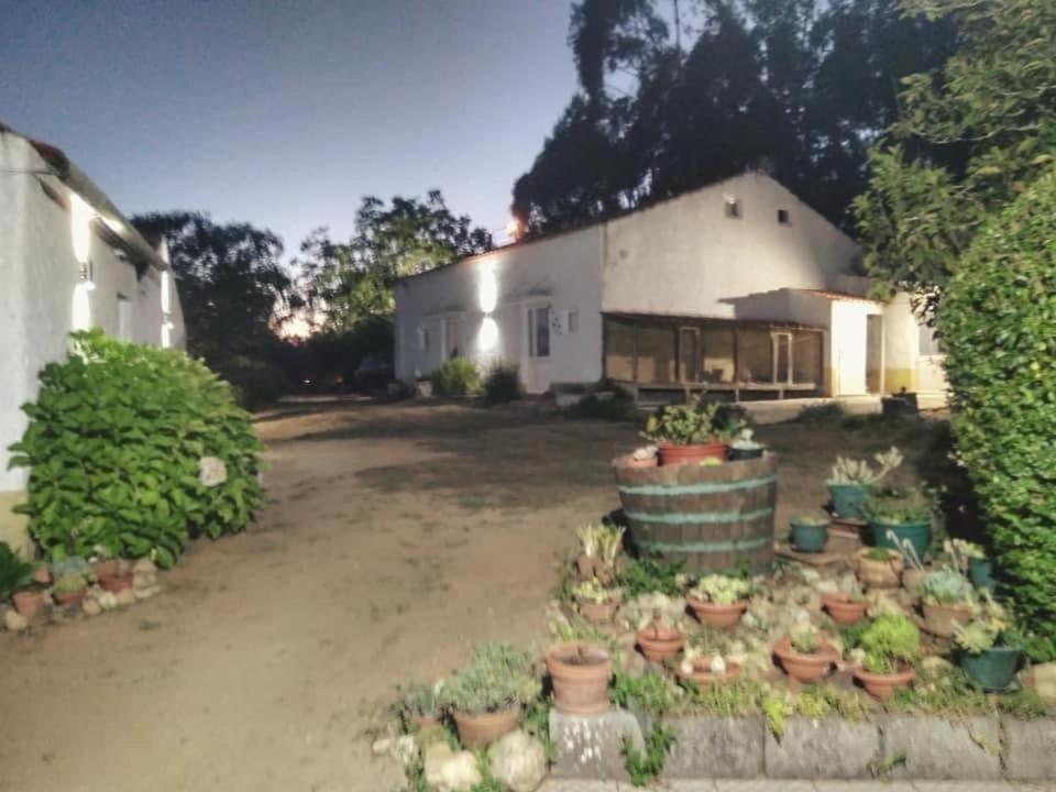 Macinhata do Vouga Quinta Da Mesaヴィラ エクステリア 写真