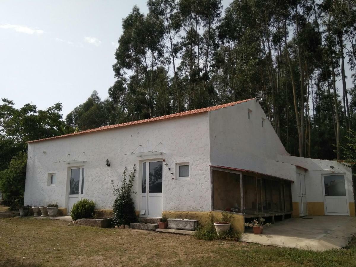 Macinhata do Vouga Quinta Da Mesaヴィラ エクステリア 写真
